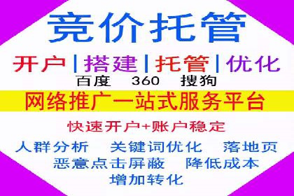 互联网公司SEM代运营成功案例剖析
